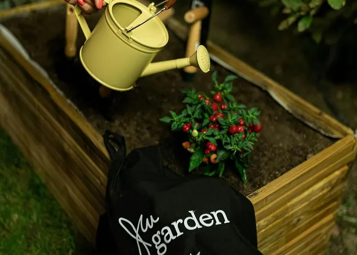 Jw マリオット 5* アンカラ