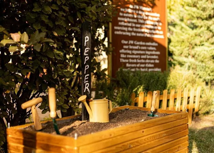 Jw マリオット アンカラ